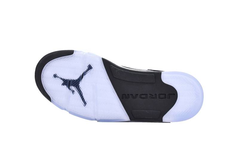 Jordan 5 Retro Moonlight (2021)
