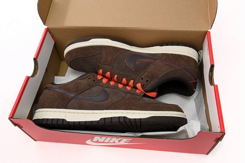 Nike Dunk Low Baroque Brown