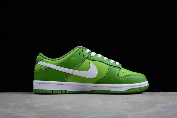 nike dunk low Ch10rophyll dj6188-300