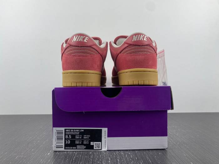 Nike Dunk Low SB Adobe DV5429-600