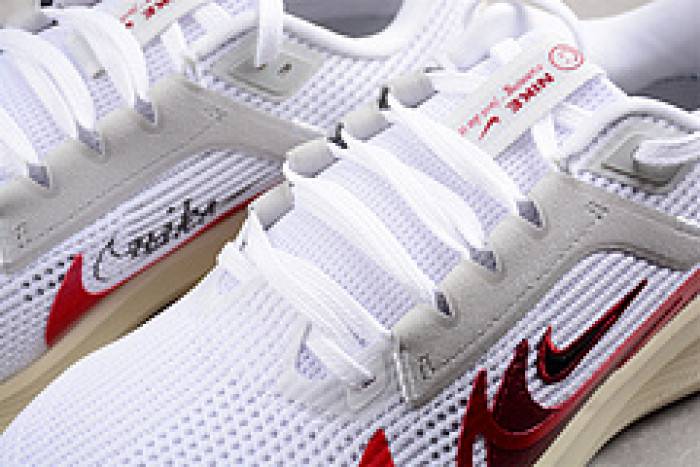 nike pegasus 40 preM1vm fb7703-100