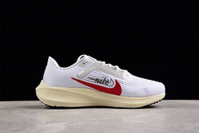 nike pegasus 40 preM1vm fb7703-100