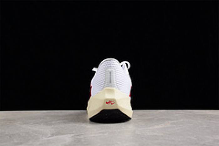 nike pegasus 40 preM1vm fb7703-100