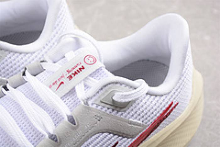 nike pegasus 40 preM1vm fb7703-100
