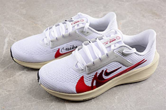 nike pegasus 40 preM1vm fb7703-100