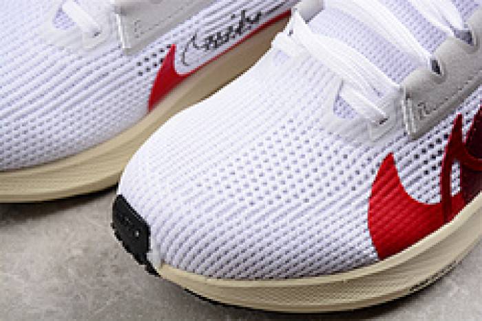 nike pegasus 40 preM1vm fb7703-100