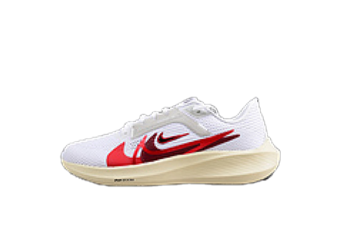 nike pegasus 40 preM1vm fb7703-100